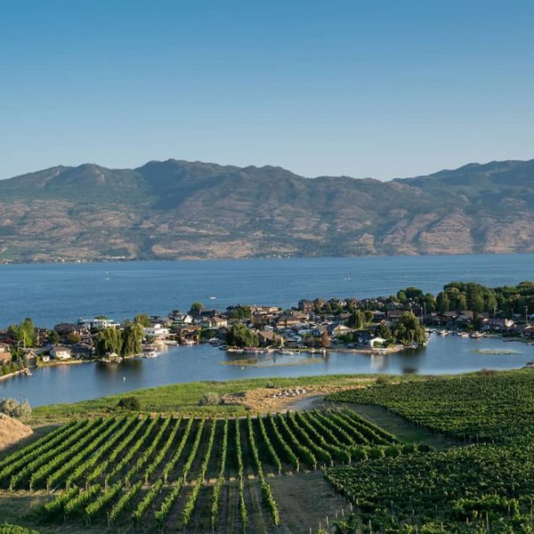 Kelowna wineries
